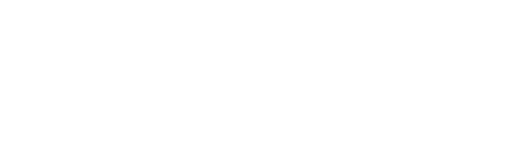 logo light